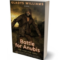 3D view of Premade Apocalyptica Book Cover - Eternity