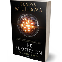 3D view of Premade Science Fiction Book Cover - Whiskey