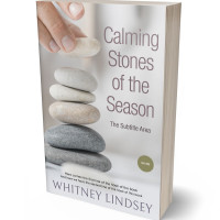 3D view of Premade Health & Mind & Body Book Cover - Cloud