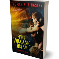 Tablet view of Brandy Punch #3846 - Premade Historical Book Cover