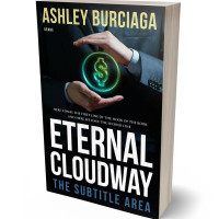 3D view of Premade Business Book Cover - Swirl