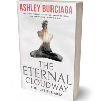 3D view of Premade Religion & Spirituality Book Cover - Gallery