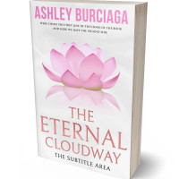 Tablet view of Prim #3896 - Premade Religion & Spirituality Book Cover