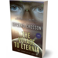 3D view of Premade Science Fiction Book Cover - Taupe