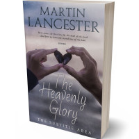 3D view of Premade Romance Book Cover - Dolphin