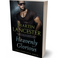 3D view of Premade Erotica Book Cover - Woodsmoke