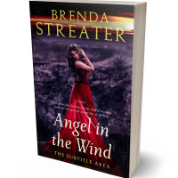 3D view of Premade Romance Book Cover - Revolver