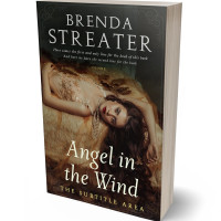 3D view of Premade Romance Book Cover - Zeus