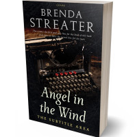 3D view of Premade Business Book Cover - Cod Gray