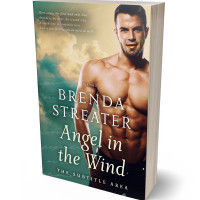 Tablet view of Cape Cod #4084 - Premade Erotica Book Cover