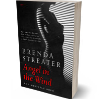 Tablet view of Clam Shell #4086 - Premade Erotica Book Cover