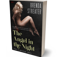 3D view of Premade Erotica Book Cover - Cod Gray