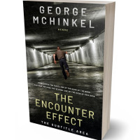 3D view of Premade Mystery & Thriller & Suspense Book Cover - Log Cabin