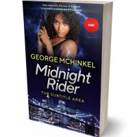 3D view of Premade Mystery & Thriller & Suspense Book Cover - Mirage