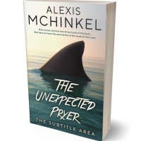 Tablet view of Aths Special #4202 - Premade Action & Adventure Book Cover