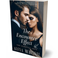 3D view of Premade Romance Book Cover - Rodeo Dust