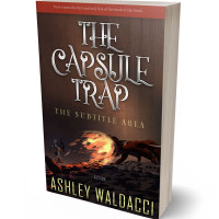 Tablet view of Cocoa Brown #4299 - Premade Fantasy Book Cover