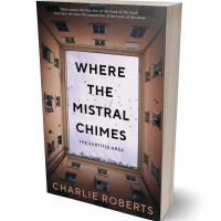 3D view of Premade Mystery & Thriller & Suspense Book Cover - Rock