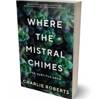 Tablet view of Aztec #4345 - Premade Romance Book Cover