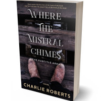 3D view of Thunder #4347 - Premade Mystery & Thriller & Suspense Book Cover