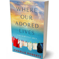 3D view of Yuma #4355 - Premade Literary Fiction Book Cover