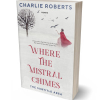 3D view of Premade Historical Book Cover - Westar