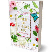 3D view of Premade Romance Book Cover - Ebb