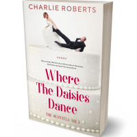 3D view of Premade Romance Book Cover - Pampas