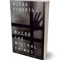 3D view of Premade Mystery & Thriller & Suspense Book Cover - Thunder