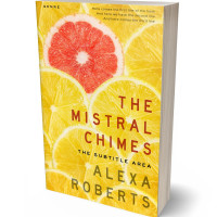 3D view of Premade Self-Improvement & Self-Help Book Cover - Saffron