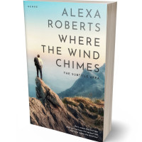 3D view of Premade Business Book Cover - Tasman