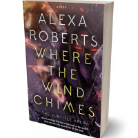 3D view of Premade Science Fiction Book Cover - Thunder