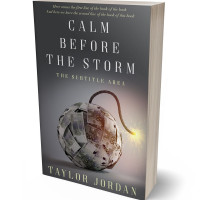 3D view of Premade Business Book Cover - Tundora