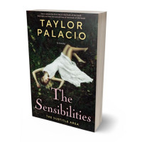 3D view of Premade Teen & Young Adult Book Cover - Sisal