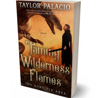 3D view of Premade Fantasy Book Cover - Di Serria