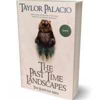 3D view of Premade Horror Book Cover - Bizarre