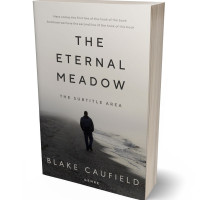 Tablet view of Mine Shaft #4736 - Premade Mystery & Thriller & Suspense Book Cover