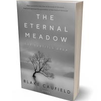 3D view of Gray #4740 - Premade Mystery & Thriller & Suspense Book Cover