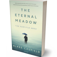 Tablet view of Kidnapper #4741 - Premade Abstract Book Cover