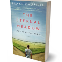 Tablet view of Powder Ash #4744 - Premade Self-Improvement & Self-Help Book Cover