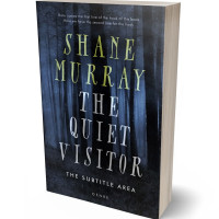 Tablet view of Ebony Clay #4809 - Premade Horror Book Cover