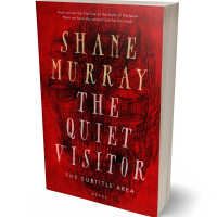 3D view of Premade Abstract Book Cover - Totem Pole