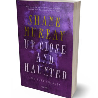 3D view of Bossanova #4811 - Premade Horror Book Cover