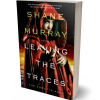 Tablet view of Crowshead #4823 - Premade Fantasy Book Cover