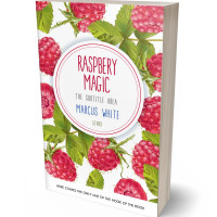 Tablet view of Driftwood #5001 - Premade Cookbooks & Food & Wine Book Cover