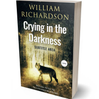 3D view of Premade Horror Book Cover - Straw