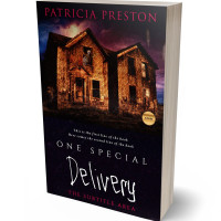 3D view of Premade Horror Book Cover - Gondola