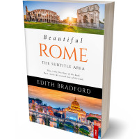 3D view of Premade Travel Book Cover - Antique Brass