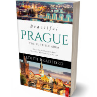 3D view of Premade Travel Book Cover - Rodeo Dust