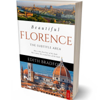 3D view of Premade Travel Book Cover - My Pink